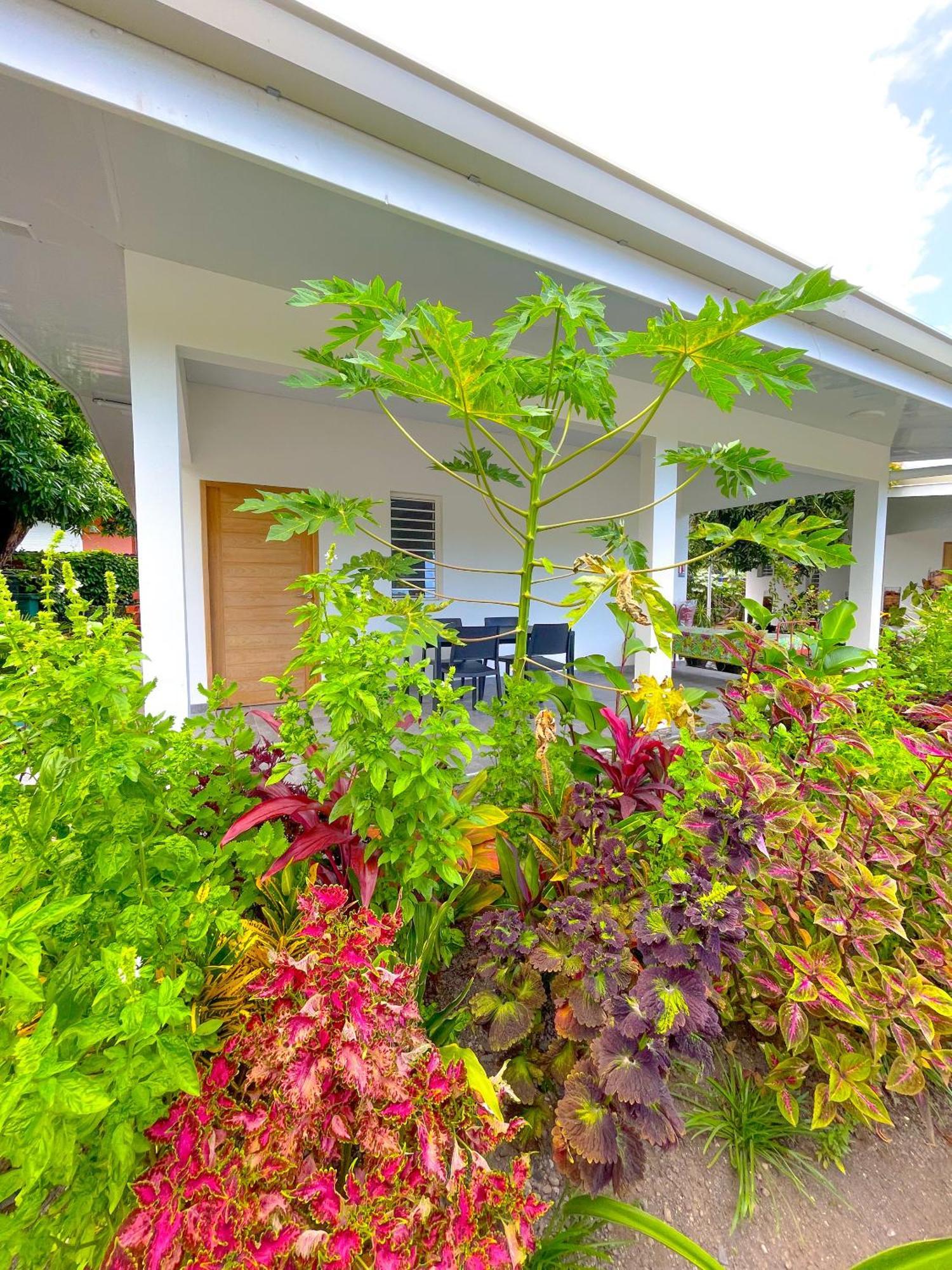 Pare Lodge Tahiti Pirae Buitenkant foto